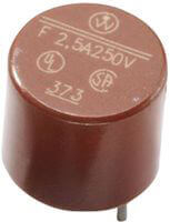 Fuse TR5, 1.6A (110 VAC)