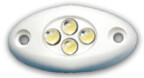 LED Cluster Courtesy Light, Black, 12V