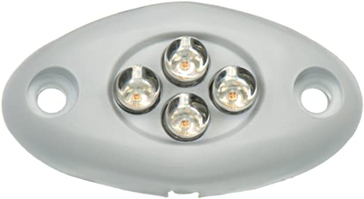 Innovative Lighting - Four-Bulb LED Courtesy Lights Color White
